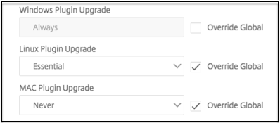 Upgrade option